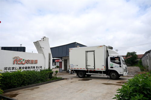 搶鮮進京 河北凈菜變身北京市民餐桌上的好菜